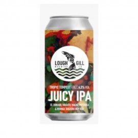 Lough Gill Tropic Tempest